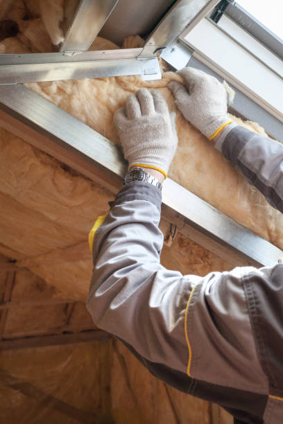 Best Wall Insulation Contractor  in Hillsboro, MO