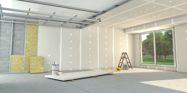 Best Home Insulation Services  in Hillsboro, MO