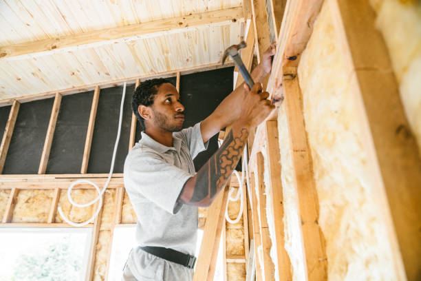 Best Professional Insulation Contractor  in Hillsboro, MO