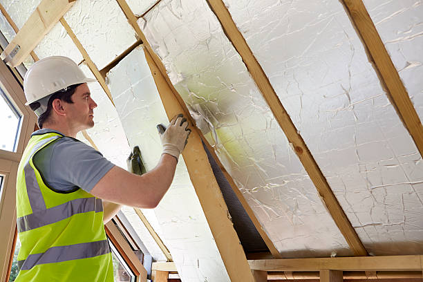 Best Energy-efficient Insulation  in Hillsboro, MO